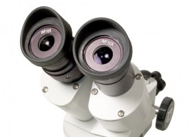 mikroskop-levenhuk-3st-binokulyarnyj-fotofox.com.ua-4